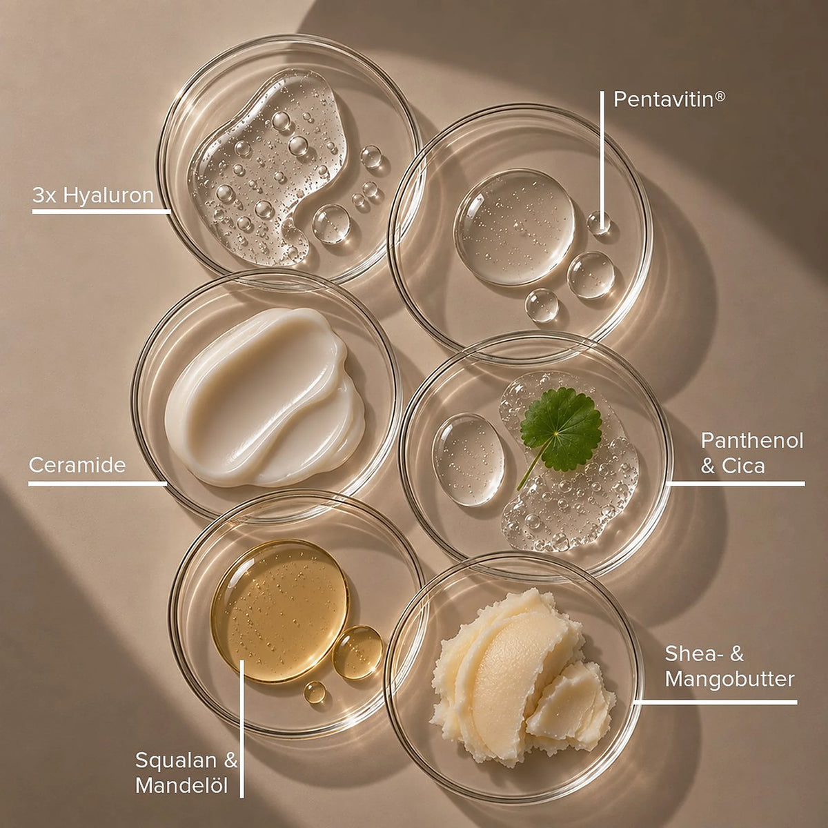 Volume Face Cream Inhaltsstoffe: 3x Hyaluron, Pentavitin, Ceramide, Panthenol, Cica, Shea- und Mangobutter, Mandelöl juno&me