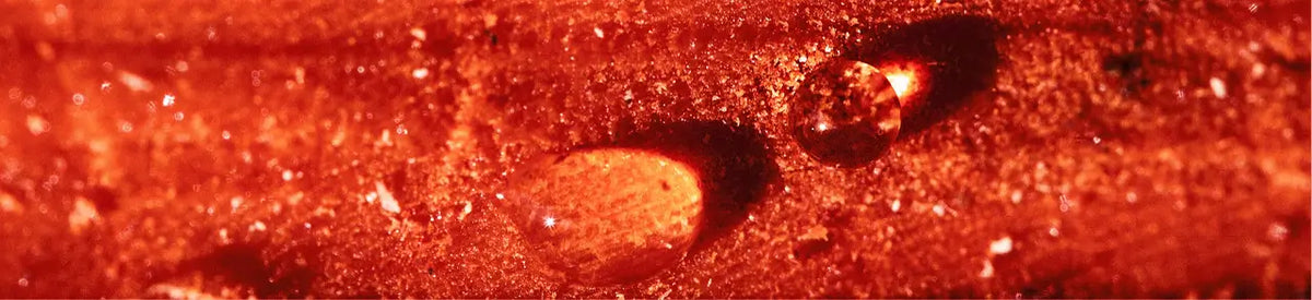 Close-up of clear liquid drops on an orange surface.