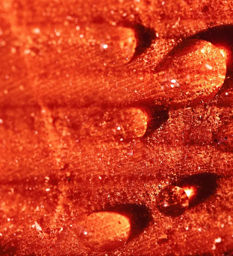 Close-up of clear liquid drops on an orange surface.
