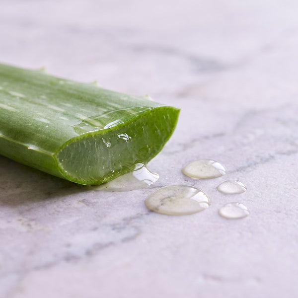 Aloe vera provides soothing moisture