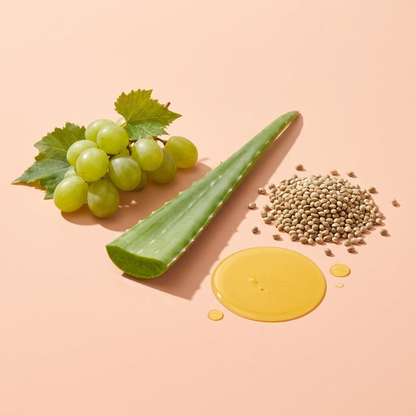 Aloe vera provides moisture and soothes irritation